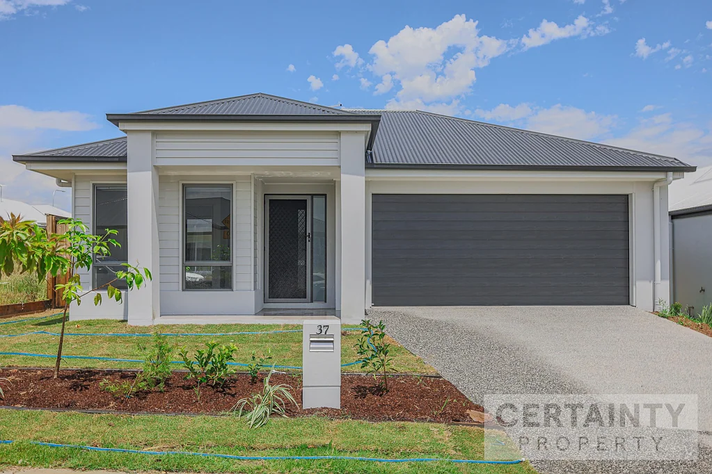 Sleek and modern brand new home!