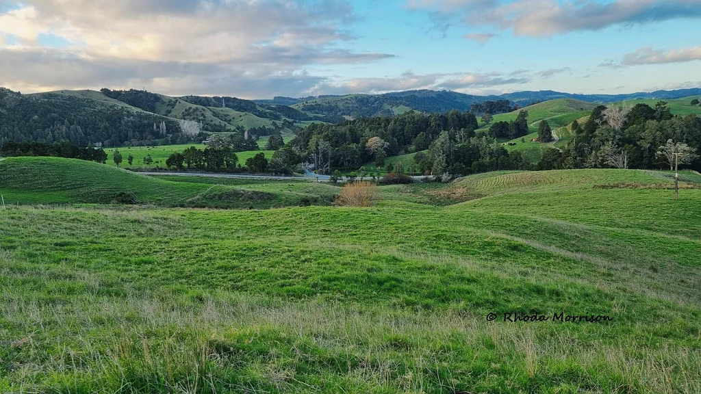 Maungaturoto  Vendor Meets Market - 17 Ha Close to Town