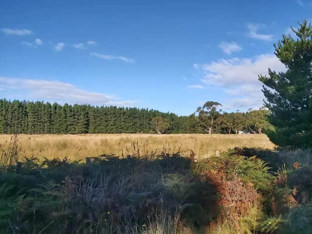 Little Swanport East Coast investment opportunity