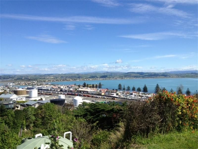 30a Roslyn Road, Bluff Hill, Napier, 0房, 0浴