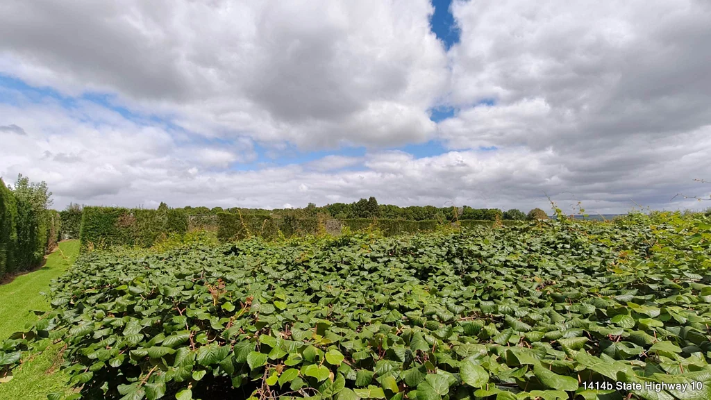 Kerikeri Large Scale Bay of Islands Kiwifruit Operation