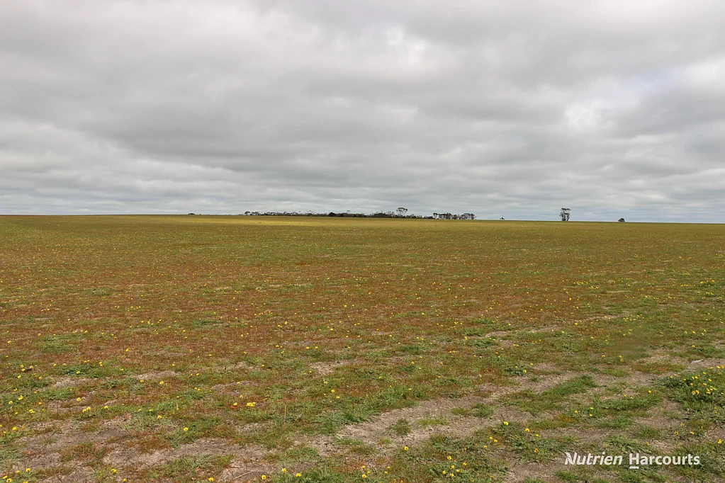 Lot 1958 Long Creek Road, Ravensthorpe, WA 6346