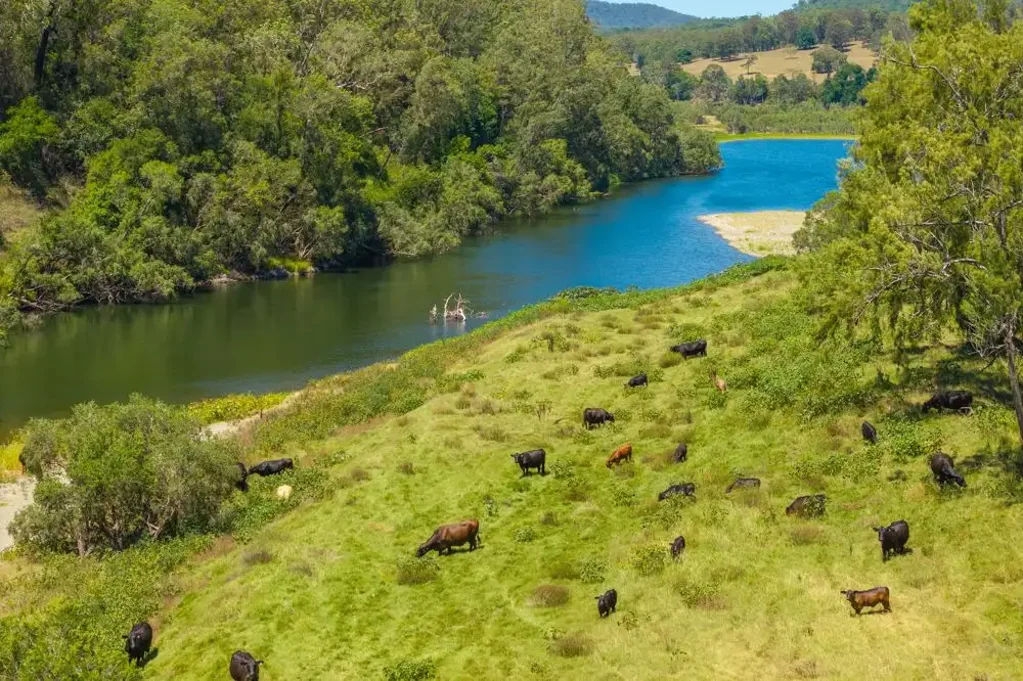 Sherwood  LIFESTYLE AND FARMING ON THE RIVER