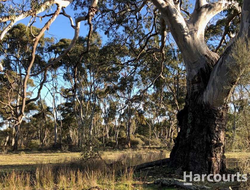 260A Emmersons Road, Noradjuha, Horsham, 0 rūma, 0 rūma horoi, Lifestyle Property