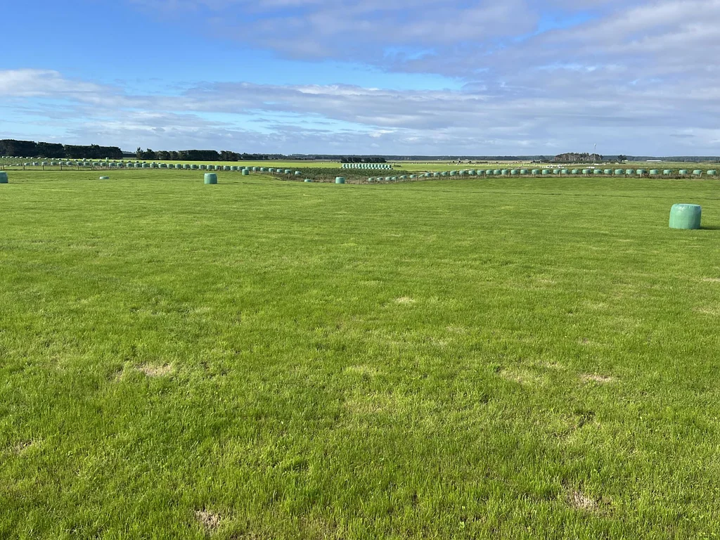 Waimatua Country Escape!