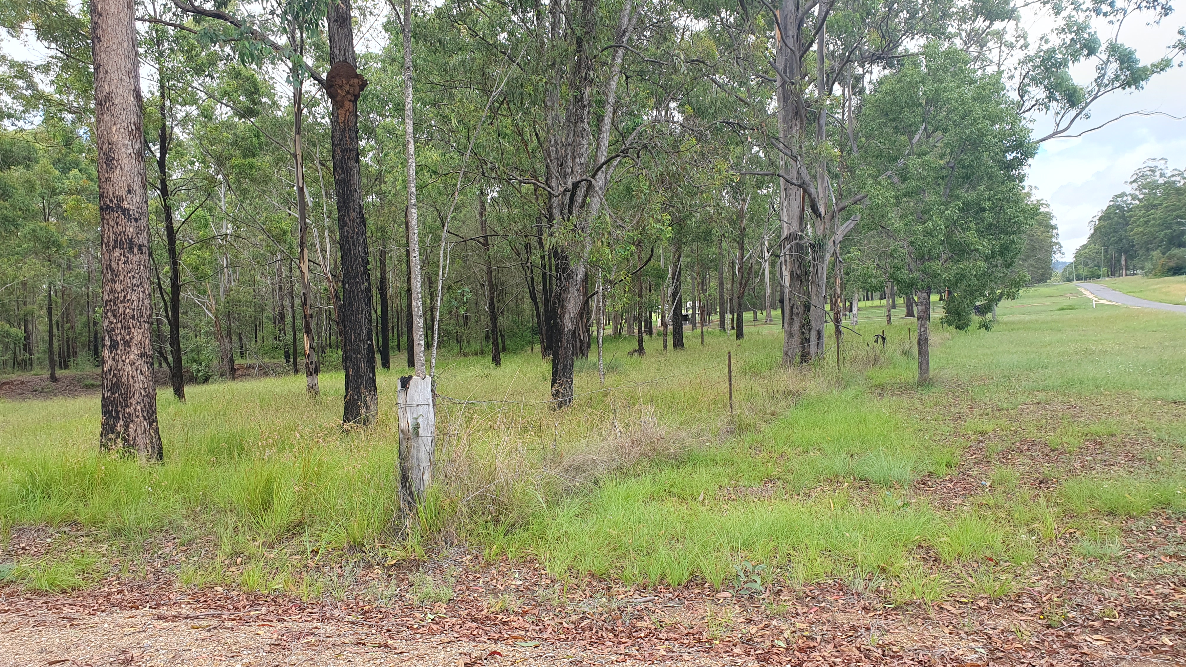 23 ANITA RD, BLACKBUTT NORTH QLD 4314, 0 Kuwarto, 0 Banyo, Lifestyle Property