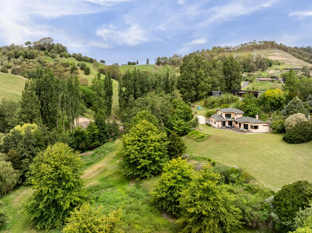 Havelock North 4 Bedroom Too Big for Two - Urgent Sale Requested!