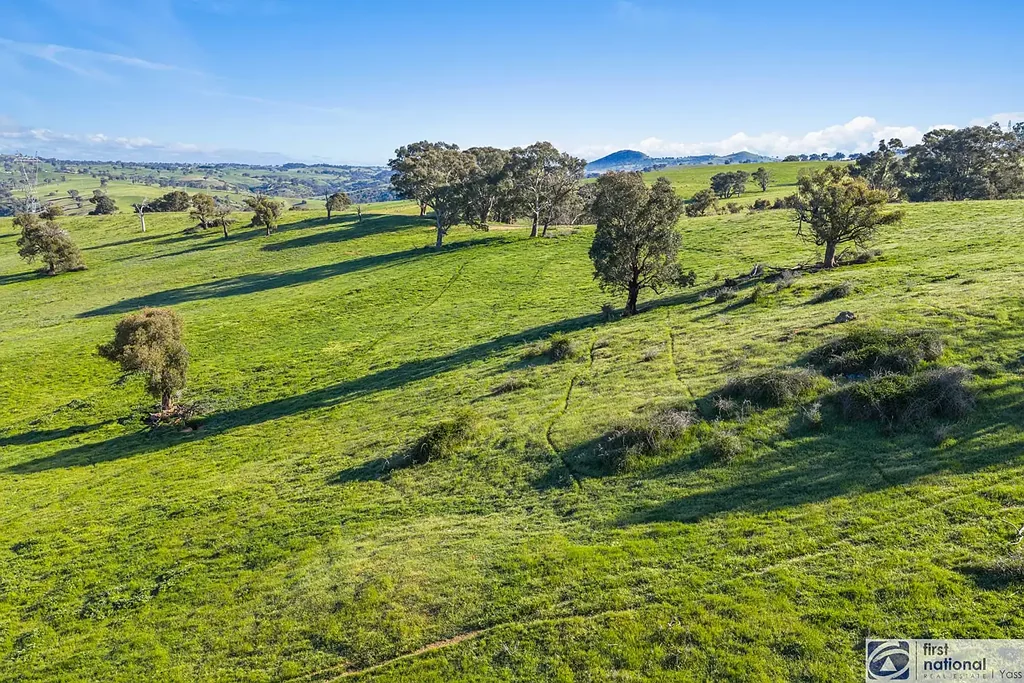Yass Views forever 206 ha
(509 acres)