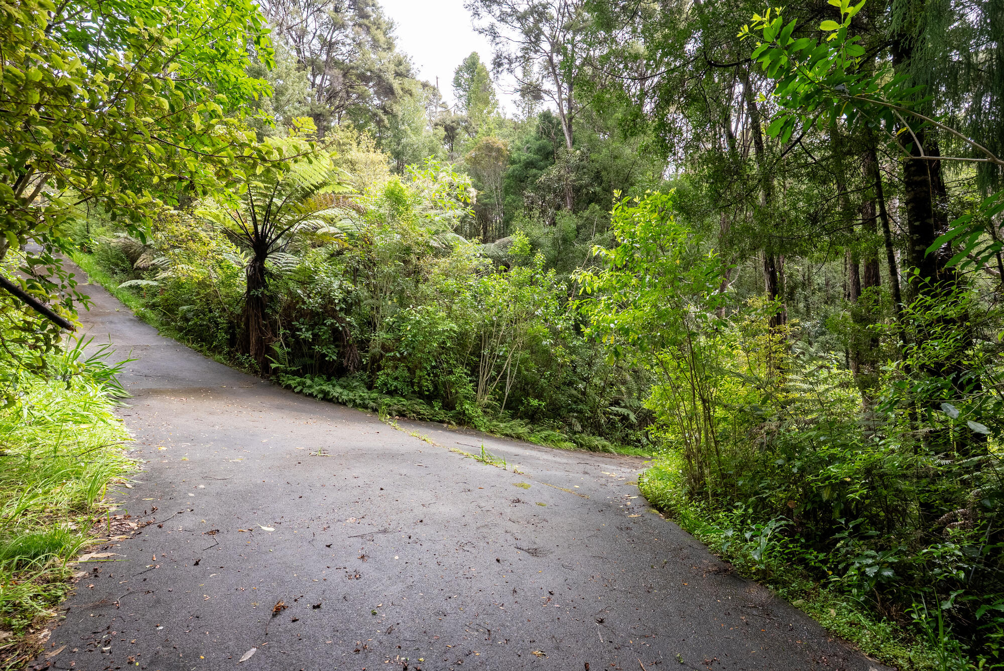 19 Hobson Road, Lucas Heights, photo 15