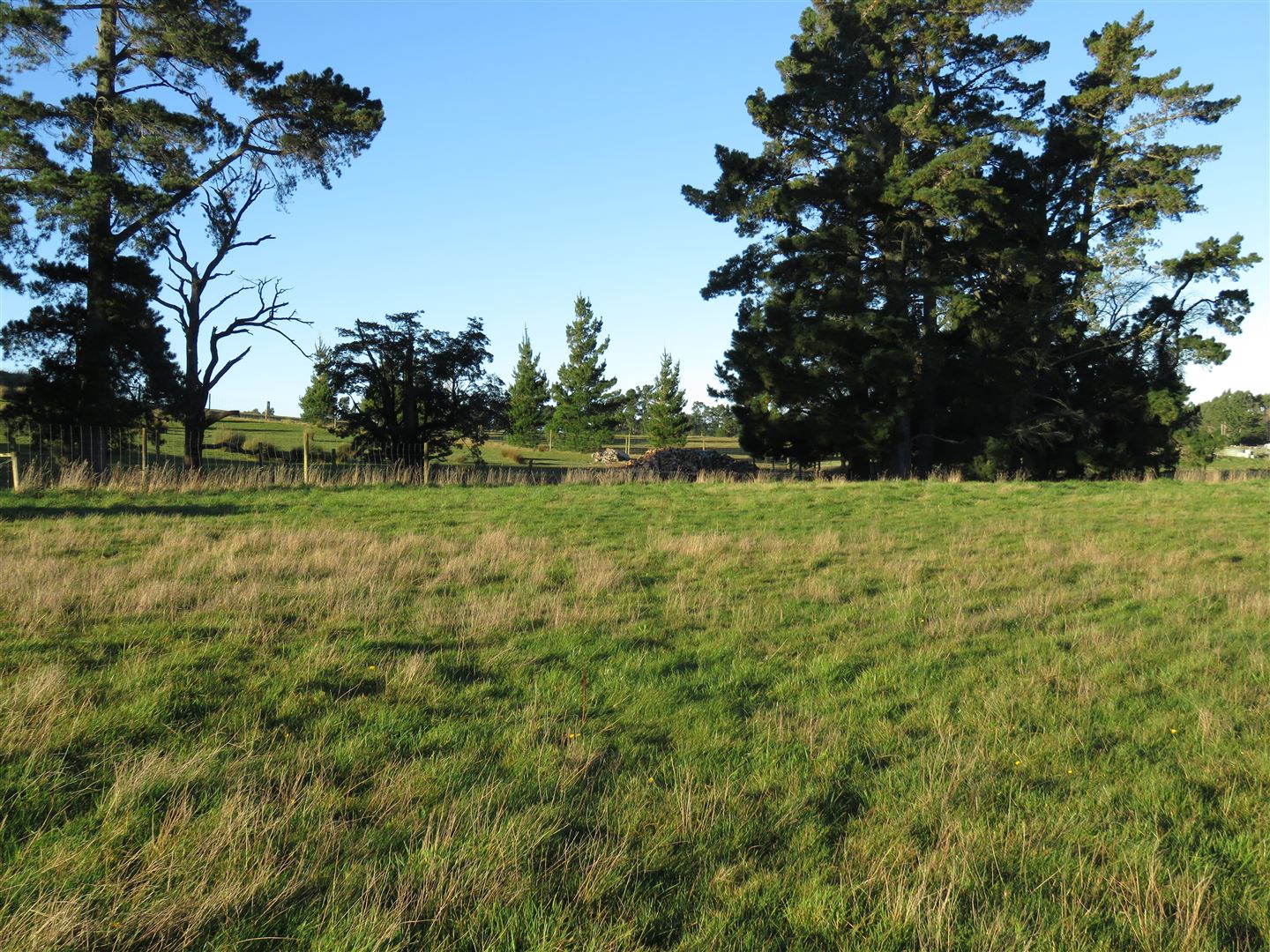 172 Bush Road, Oxford, Waimakariri, 0 Bedrooms, 0 Bathrooms