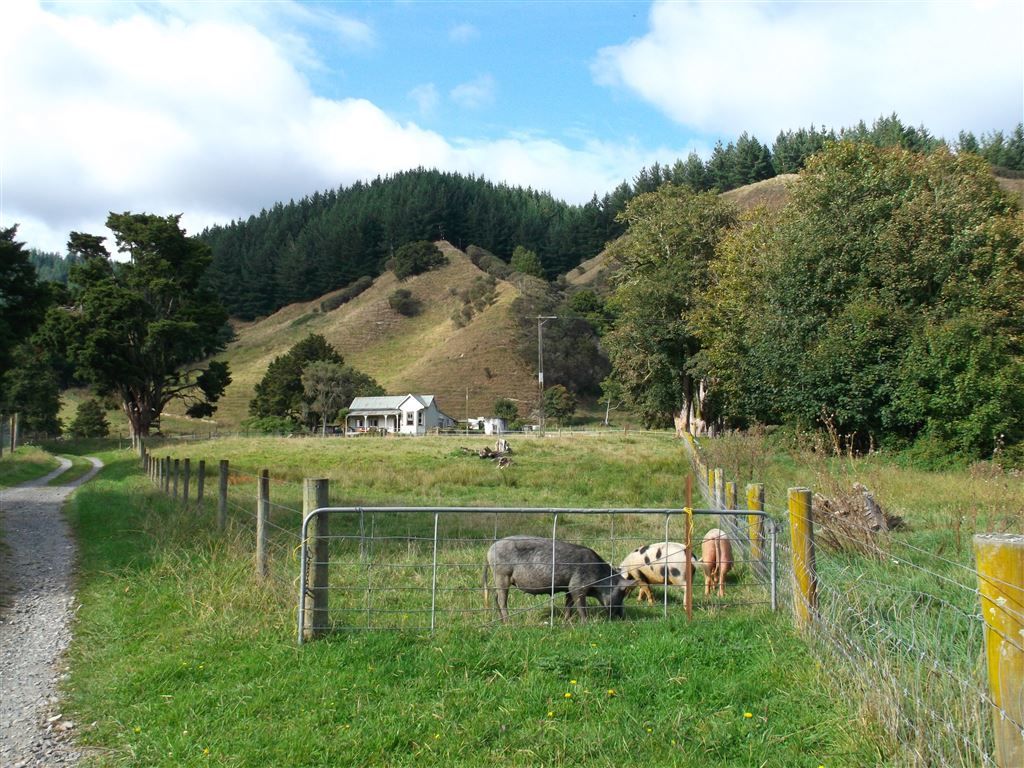 1297 Kaitieke Road, Owhango, Ruapehu, 4 غرف, 1 حمامات