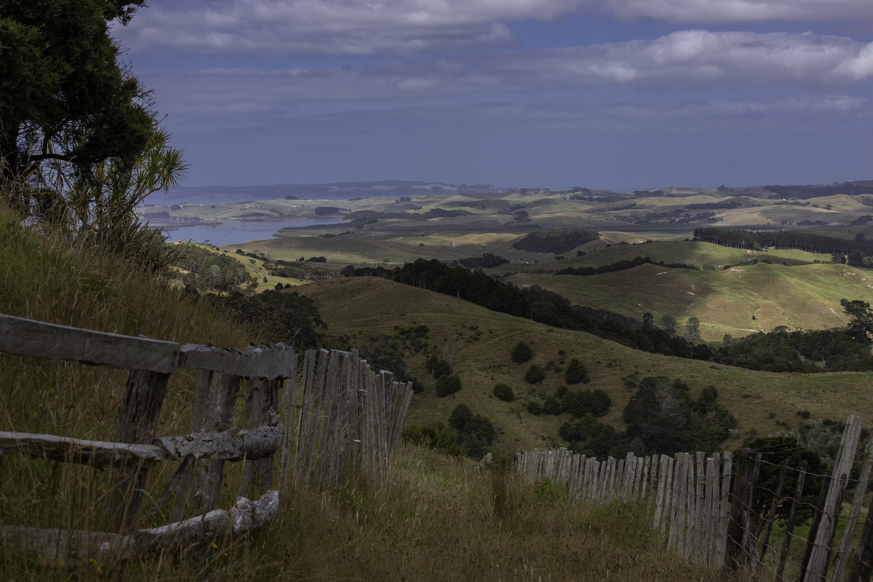 Kaipara Coast Highway, Wellsford, Auckland - Rodney, 0房, 1浴