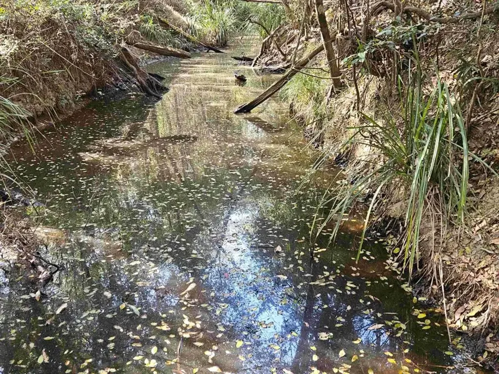 Glenwood Your Own Bushland Escape