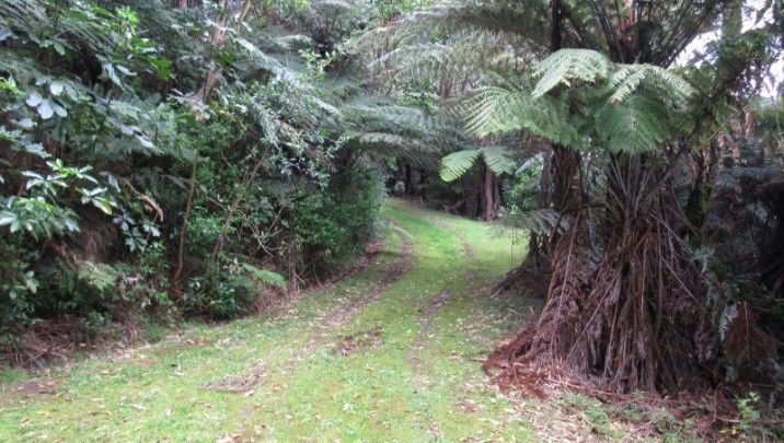 24 Goldfields Road, Karangahake, Hauraki, 1房, 1浴