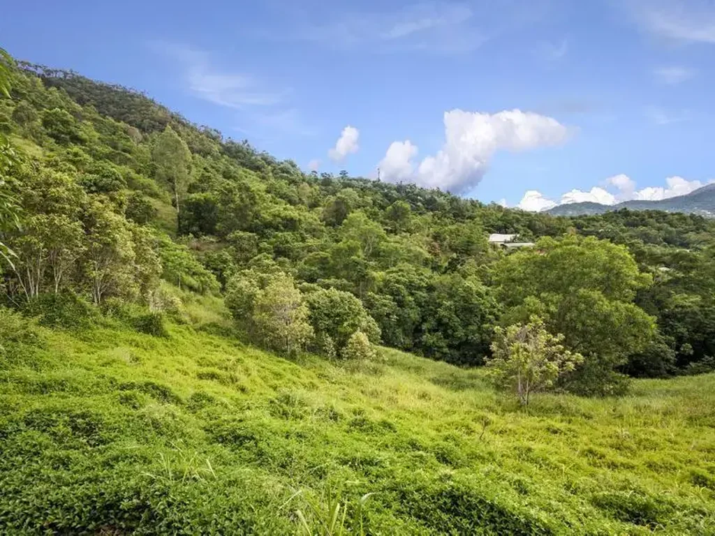 Redlynch  A Rare 1.36 Hectare Private Sanctuary with unbelievable Views and Mountain Surrounds