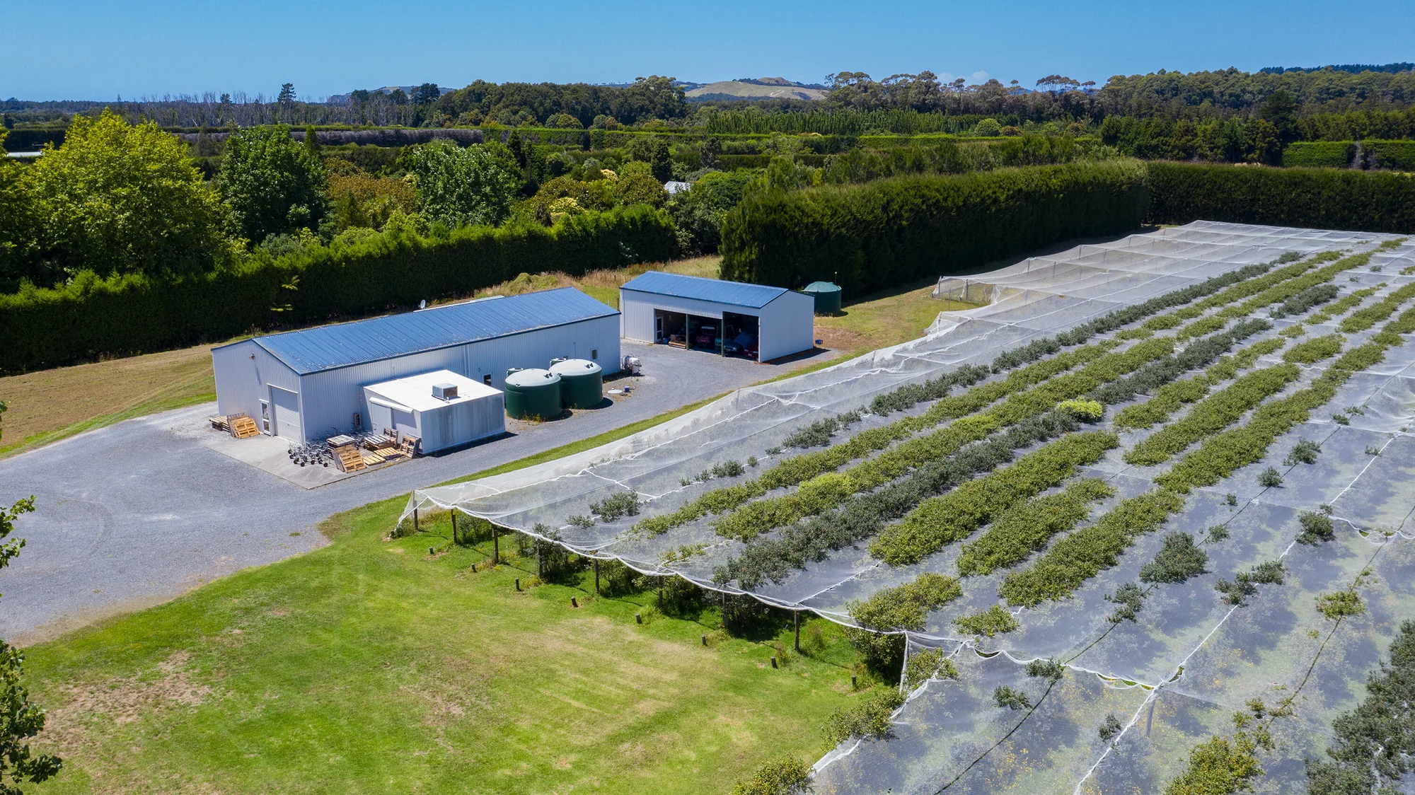 Tawharanui Peninsula Omaha huge land endless opportunity income sources