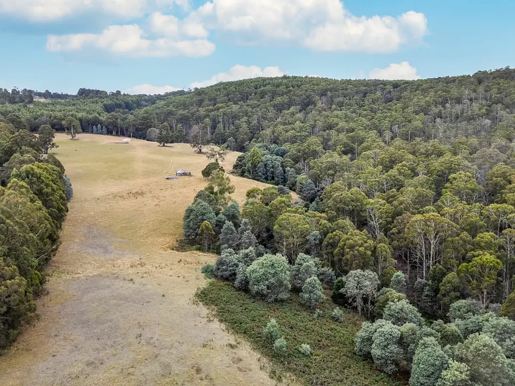 Strickland  Highland Sanctuary: 52.35ha of History and Wilderness