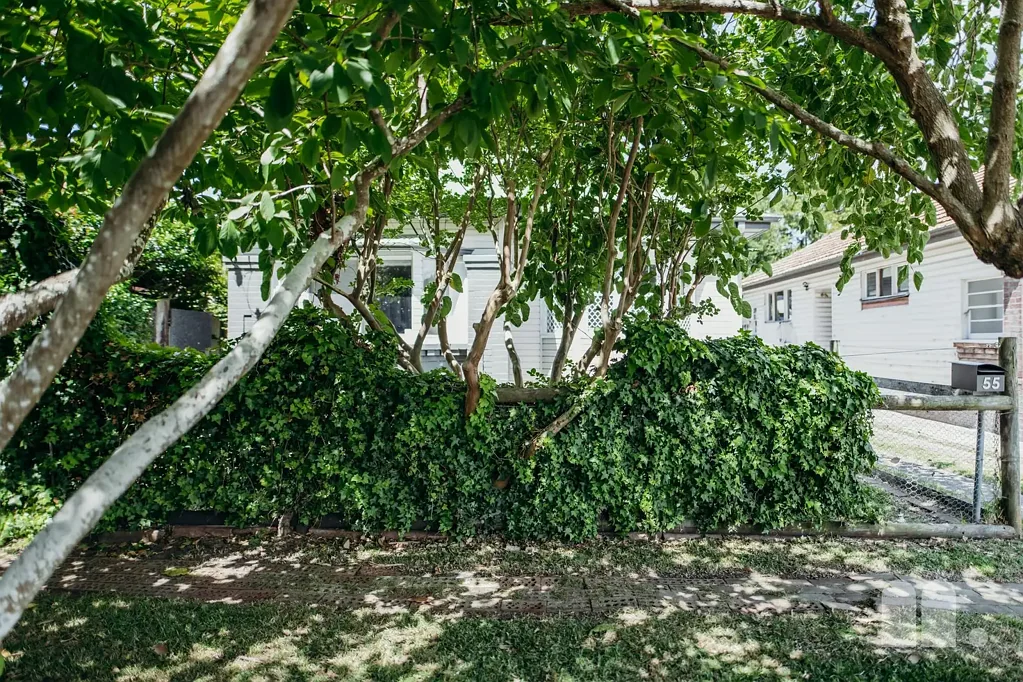 55 Holt Street, Mayfield East, NSW 2304
