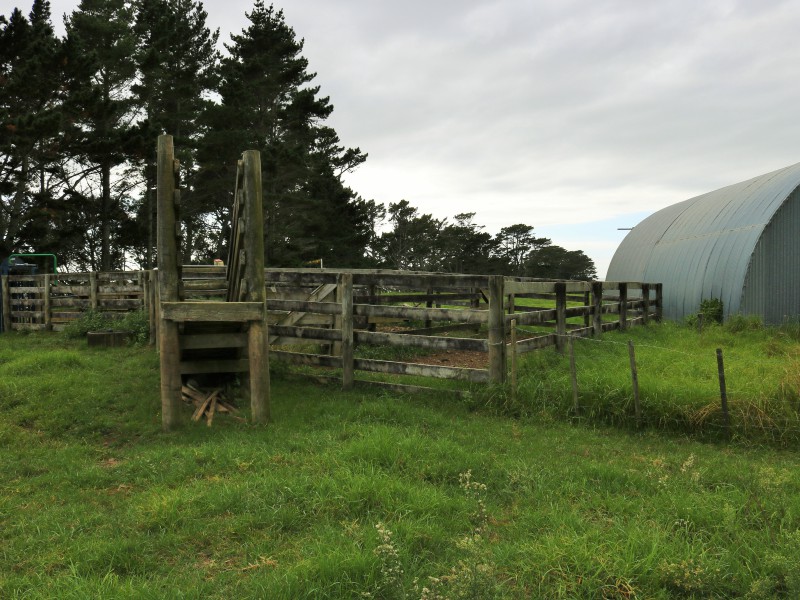 80 Johnson Road, Te Kopuru, Kaipara, 0 રૂમ, 1 બાથરૂમ