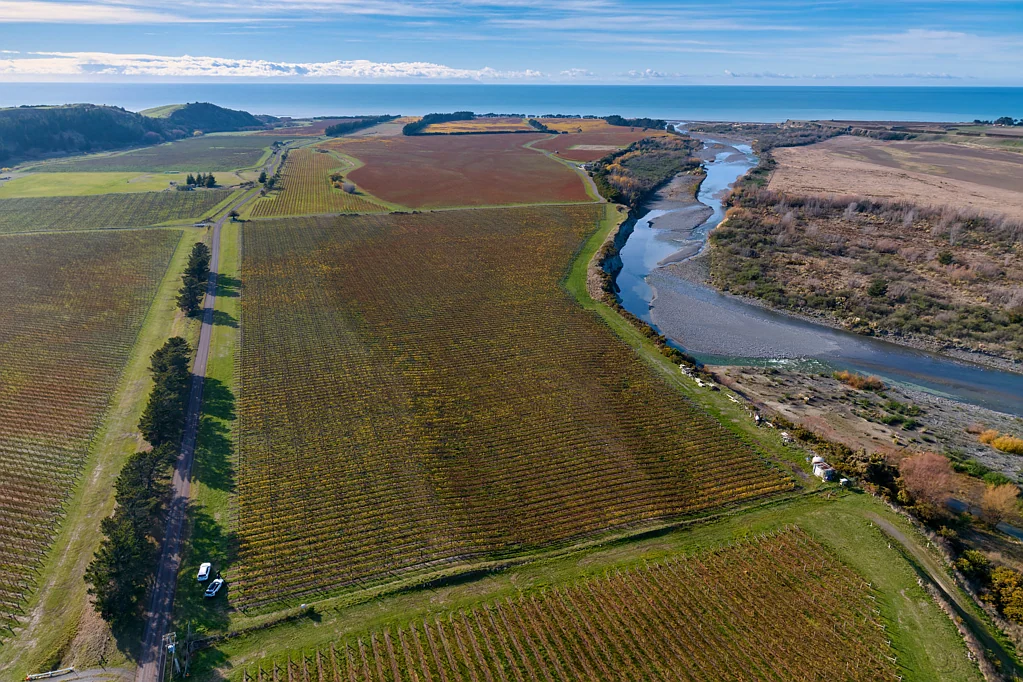 Seddon Awatere Sauvignon Opportunity