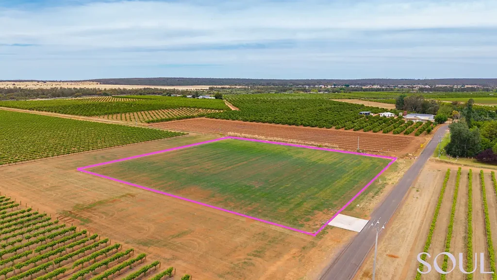LOT 1 of 161/296 McCarthy Road, Lake Wyangan, NSW 2680
