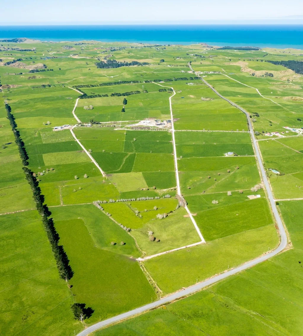 Te Kopuru Discover a Top Dairy Farm in Kaipara!