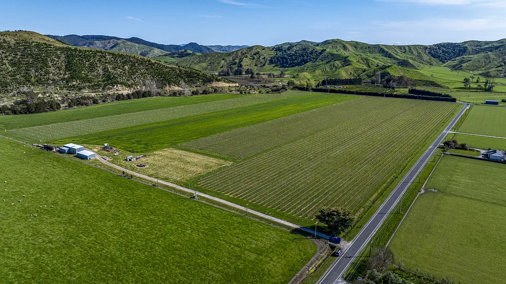 Ngatapa Prime horticulture land opportunity