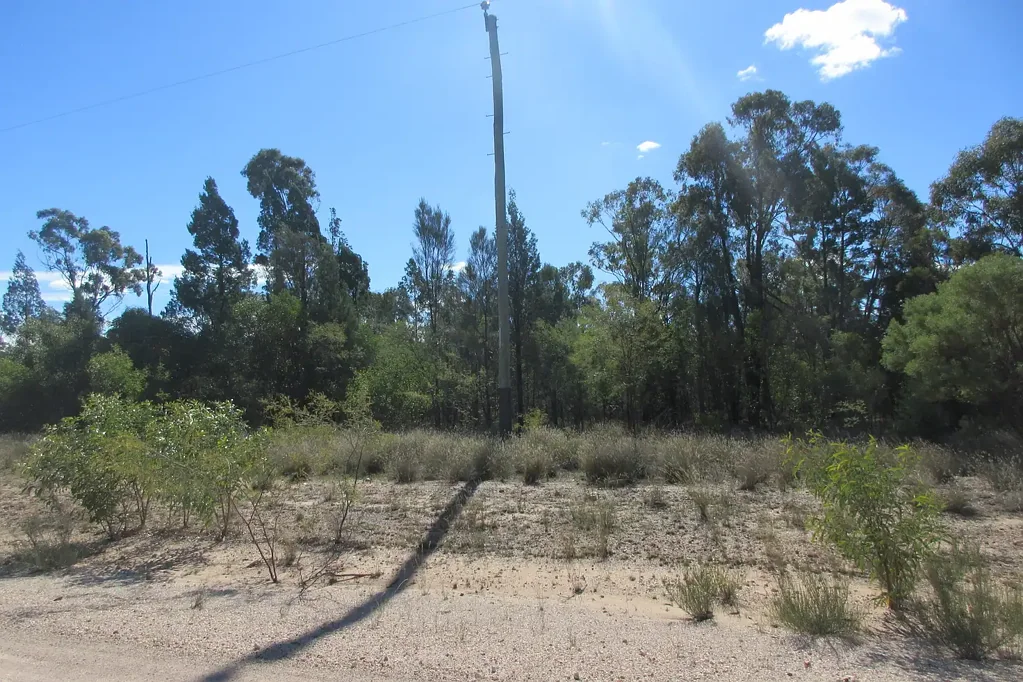 Tara 29.65 Acres of untouched land