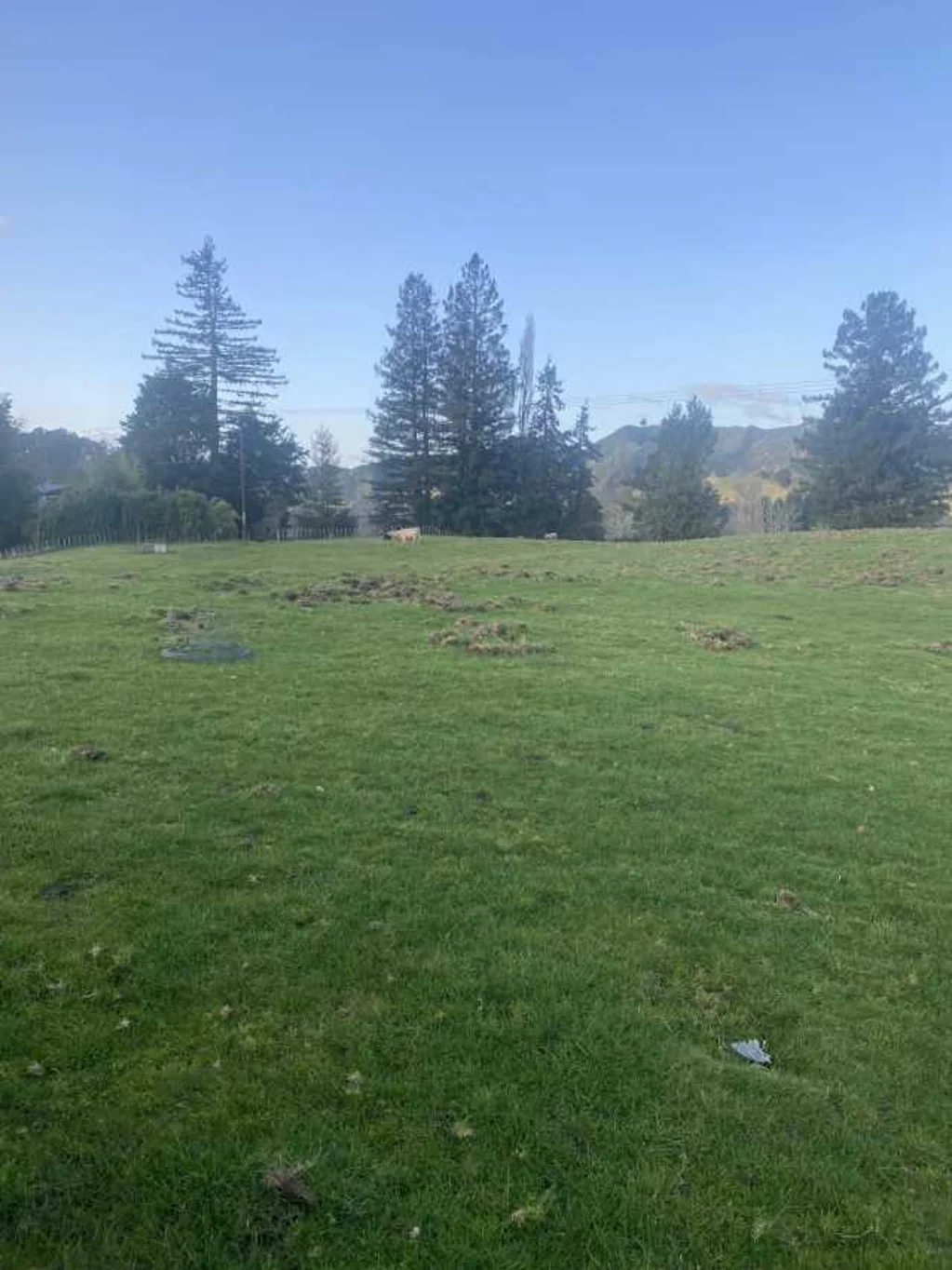Taumarunui 1कमरा Quail heaven