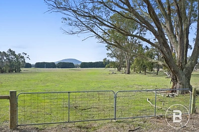 88 Ted Lyons Road, Navigators, VIC 3352, 0 habitaciones, 0 baños, Section
