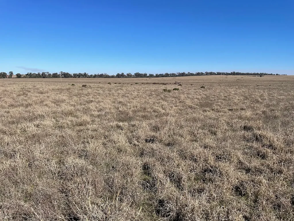 West Wyalong 'Eulin' West Wyalong NSW 2671
