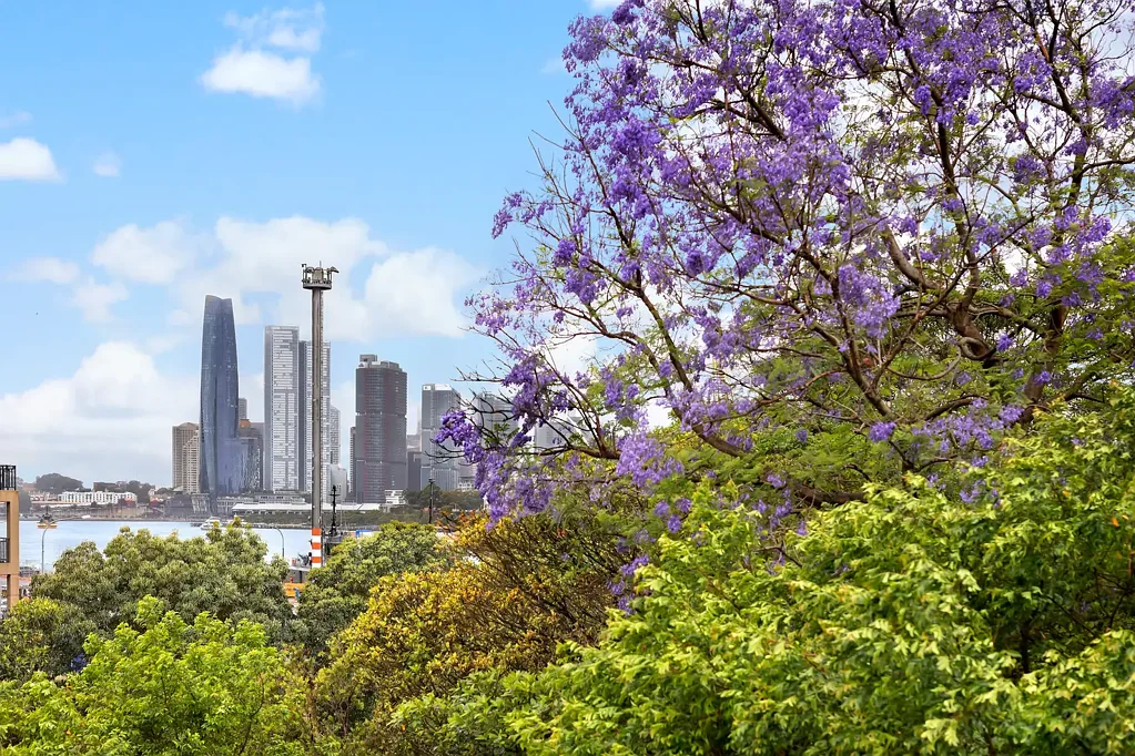 Balmain 2Kwarto Effortless living in secure resort-style setting near White Bay