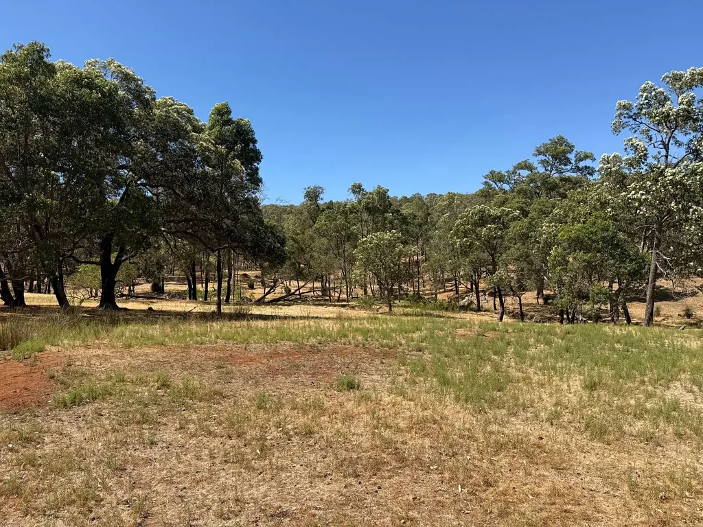 59 Lyons Road, Waroona, WA 6215