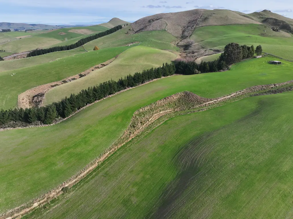Gore Bare Land West Otago Conical Hill