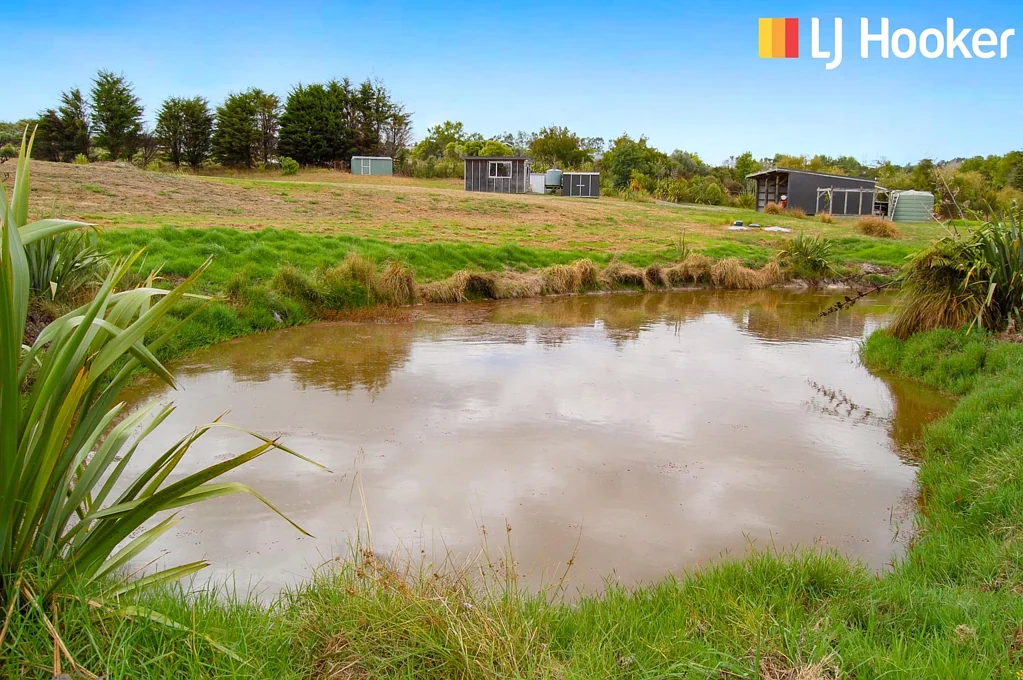 Kaiwaka 2.74Ha Lifestyle - Build - Grow - Thrive