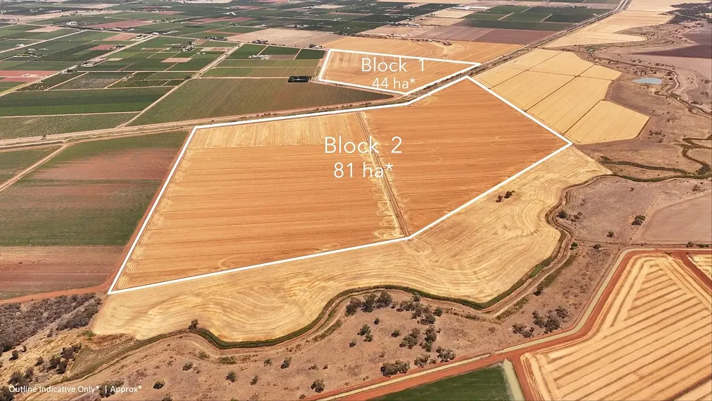 Hanwood HORTICULTURE & CROPPING LAND ON THE EDGE OF HANWOOD