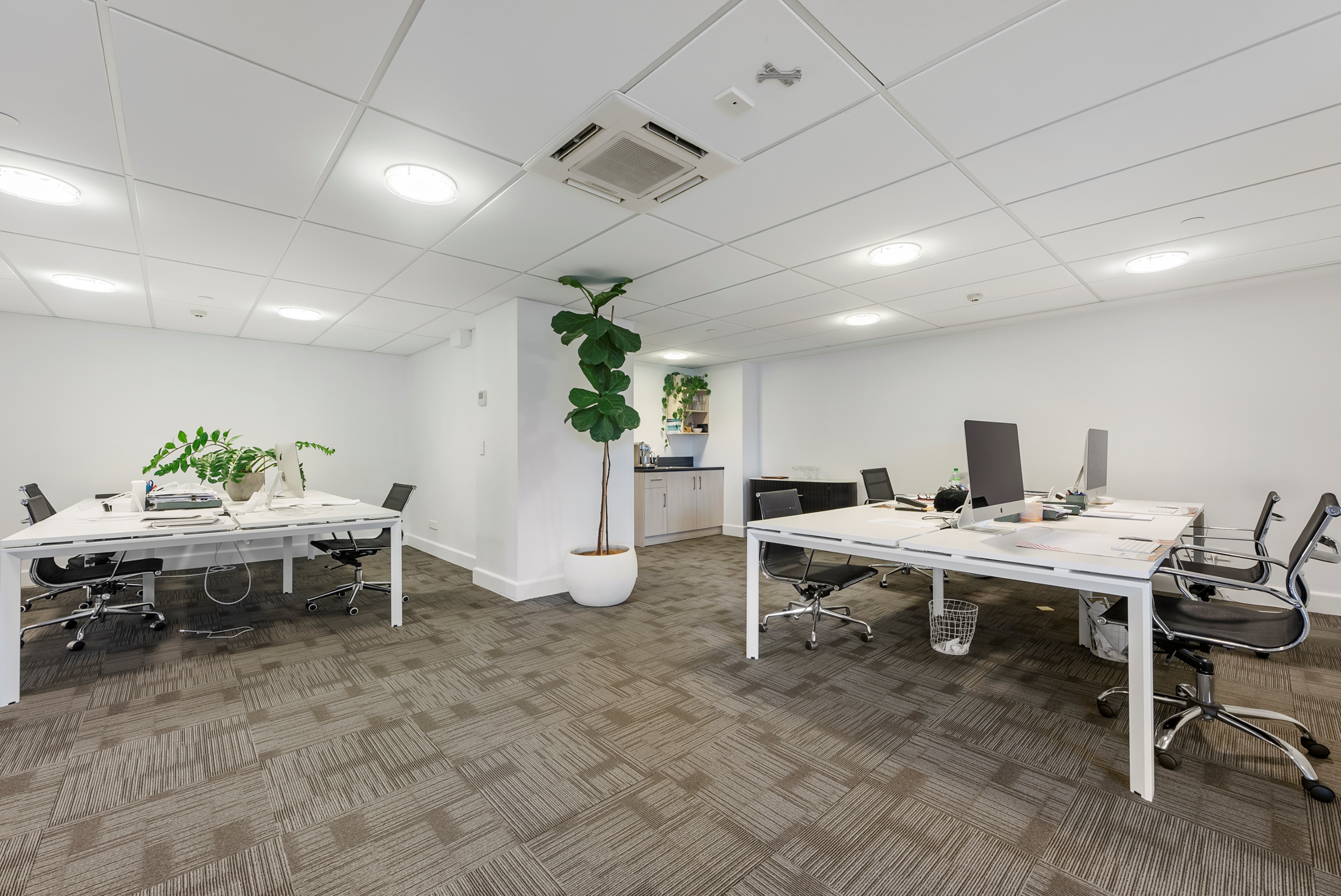 G4/11 Maunganui Road, Mount Maunganui, Tauranga, 0部屋, 1バスルーム, Office Building