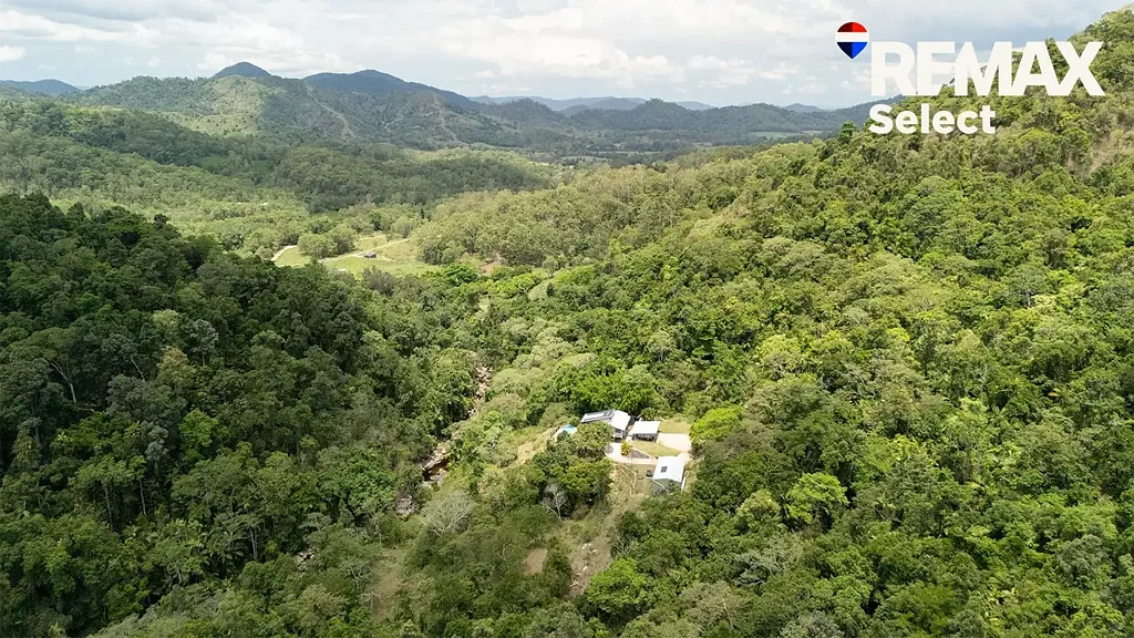 Owens Creek 6 Slaapkamer Tropical Rainforest retreat with two homes, mangoes and cows!
