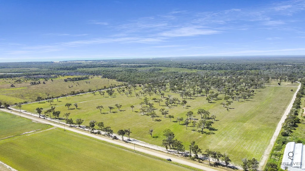 Calavos Lot 100 Palm Springs Drive: 208 Acre Rural Retreat