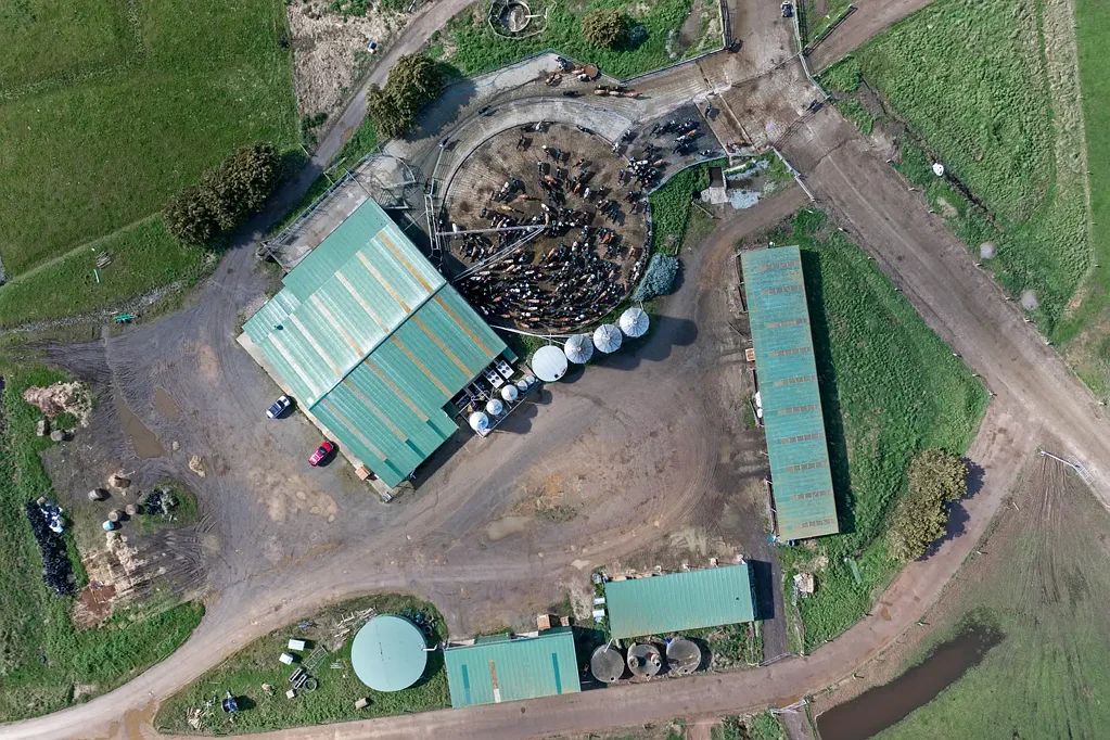 Woolnorth LARGE-SCALE PREMIUM DAIRY