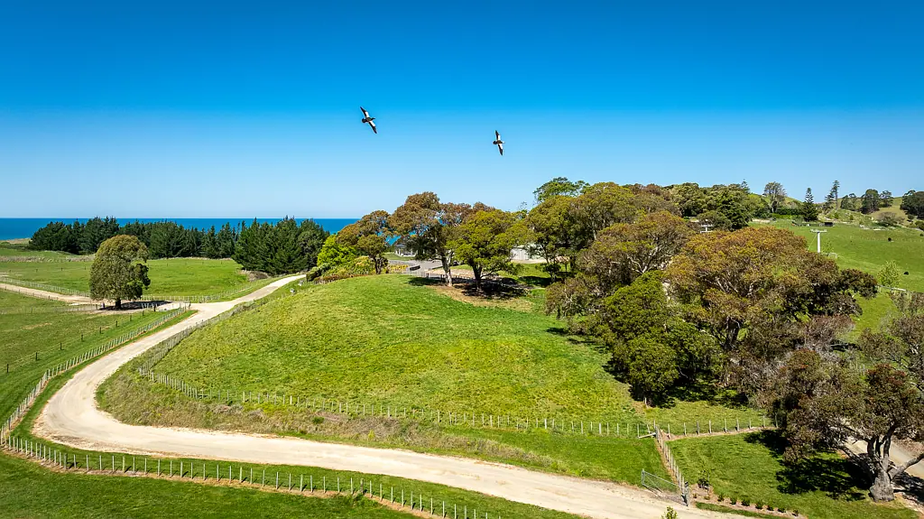 Ocean Beach Rare gem in a stunning coastal location