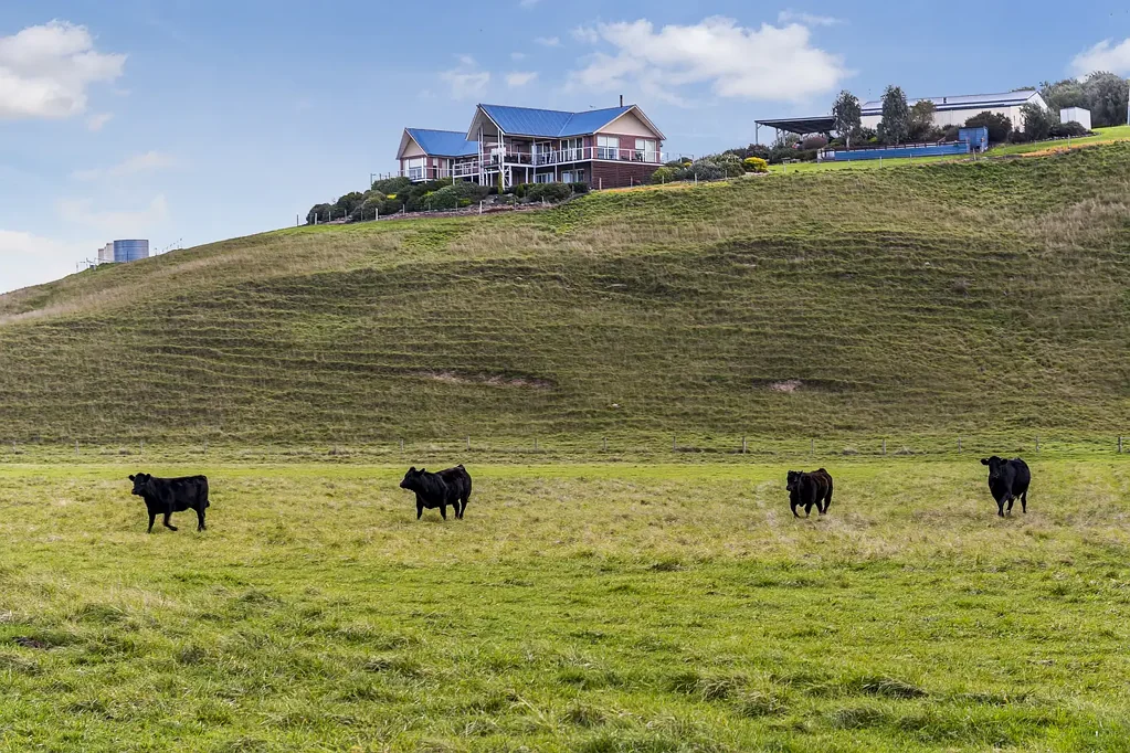 Darraweit Guim "New Heights" - New Beginnings North of Melbourne
