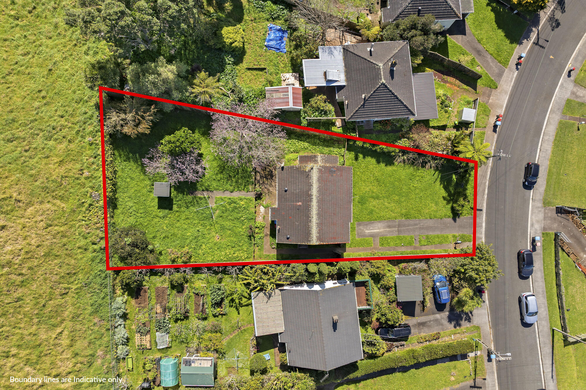 41 Mount Royal Avenue, Mount Albert, photo 6