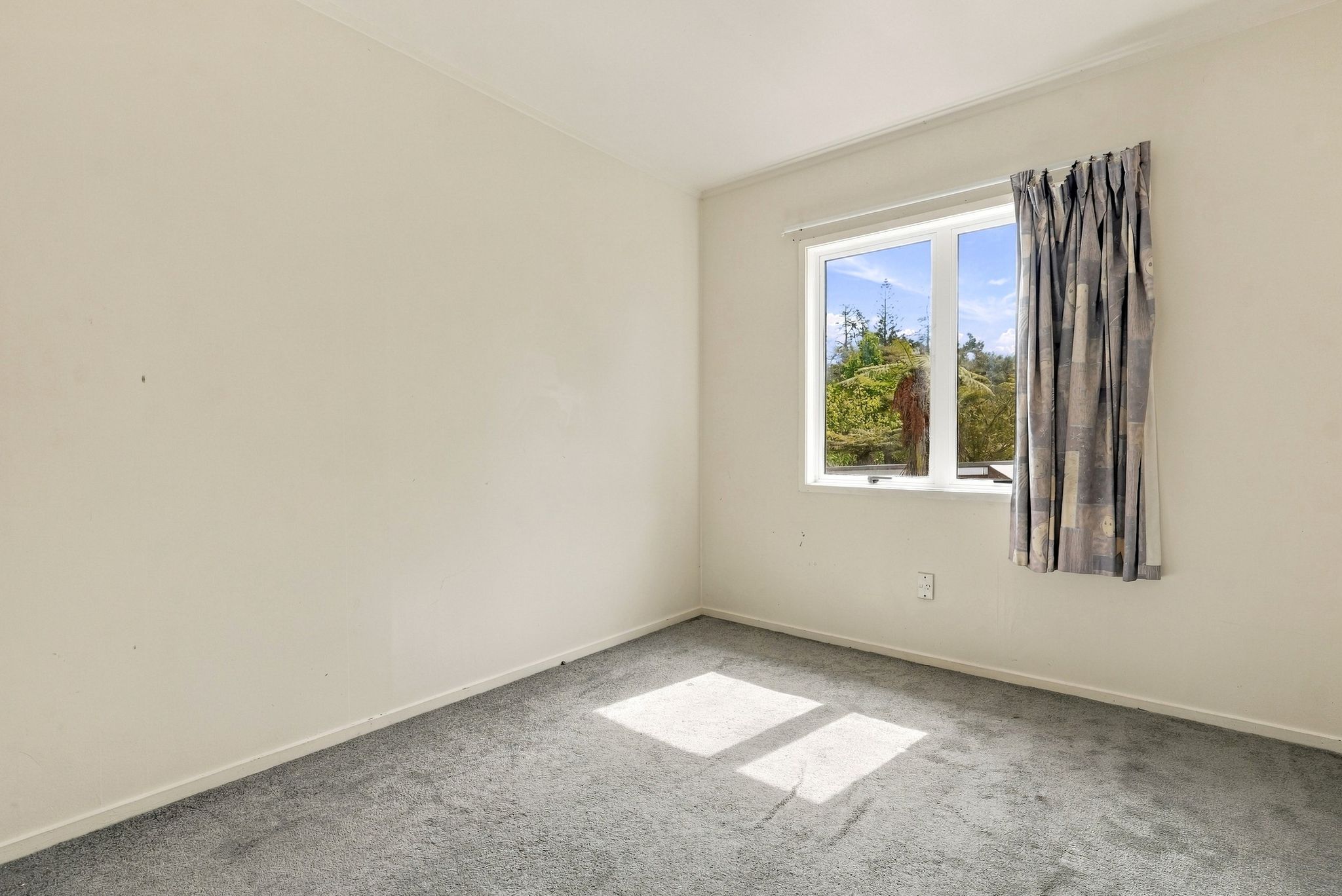 12 Papa Place, Birkdale, photo 5