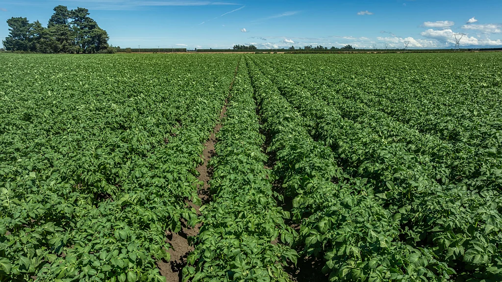 Fairton Premium Arable & Lamb Finishing Property