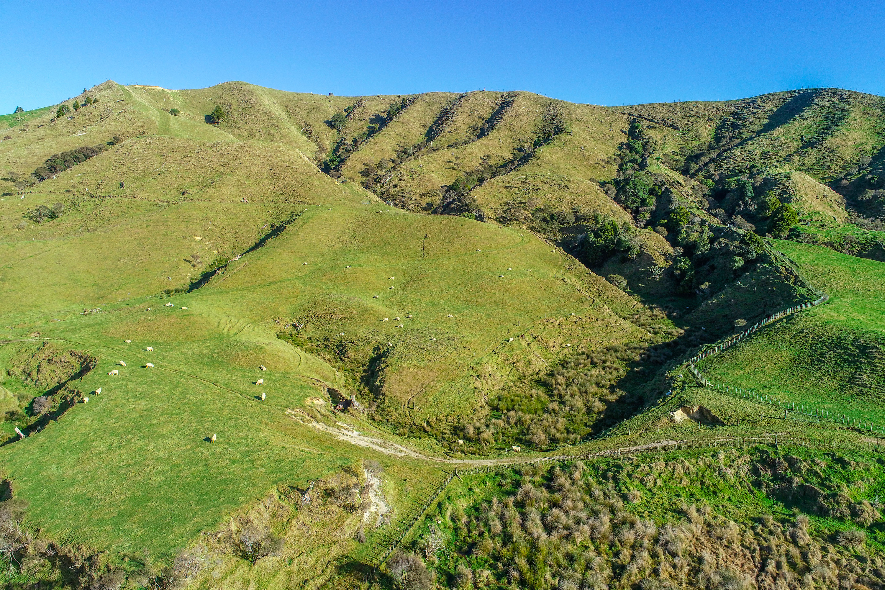 State Highway 4, Owhango, Ruapehu, 0 ਕਮਰੇ, 1 ਬਾਥਰੂਮ, Lifestyle Section