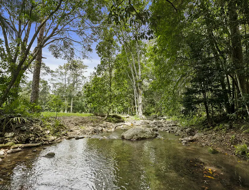 192 Booka Road, Upper Crystal Creek, North Coast, 1 habitaciones, 1 baños, Lifestyle Property