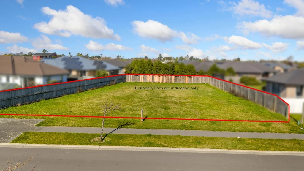 Leeston Ready, set, build