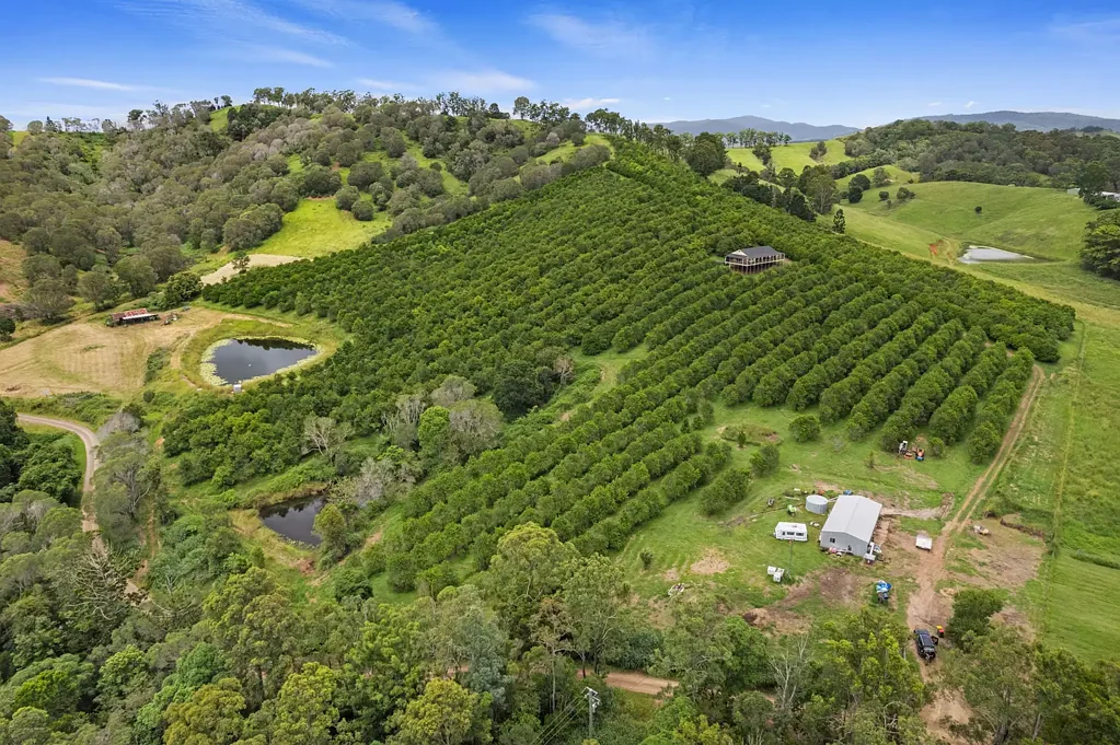 88 Edwards Road, Amamoor, QLD 4570