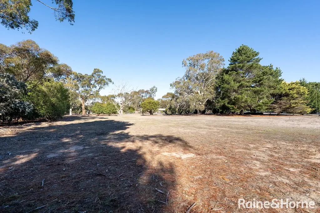 Riddells Creek Titled and ready to build! 1-Acre (Approx.) Allotment